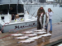 Marauder Sportfishing Photo - Click for larger image